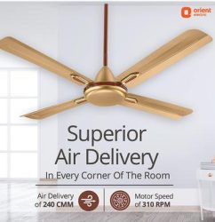 Ceiling Fan