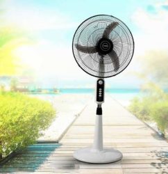 Vision Stand Fan